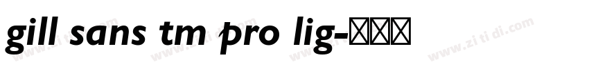 gill sans tm pro lig字体转换